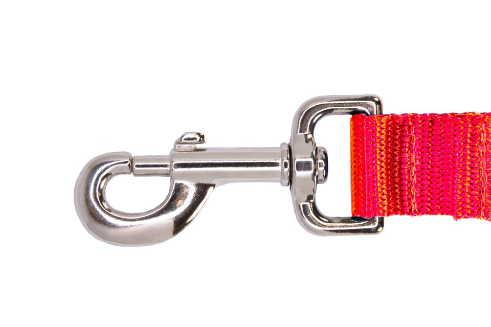 Red UGA Collage Dog Leash 4ft