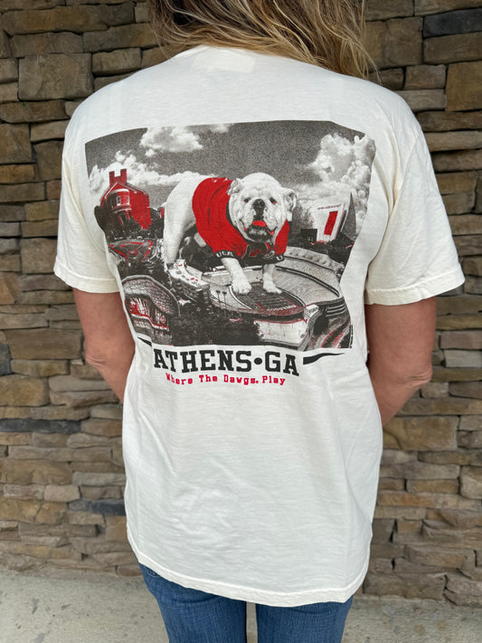 Where The Dawgs Play T-shirt