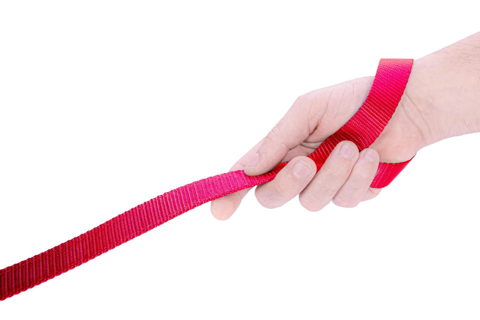 Red UGA Collage Dog Leash 4ft