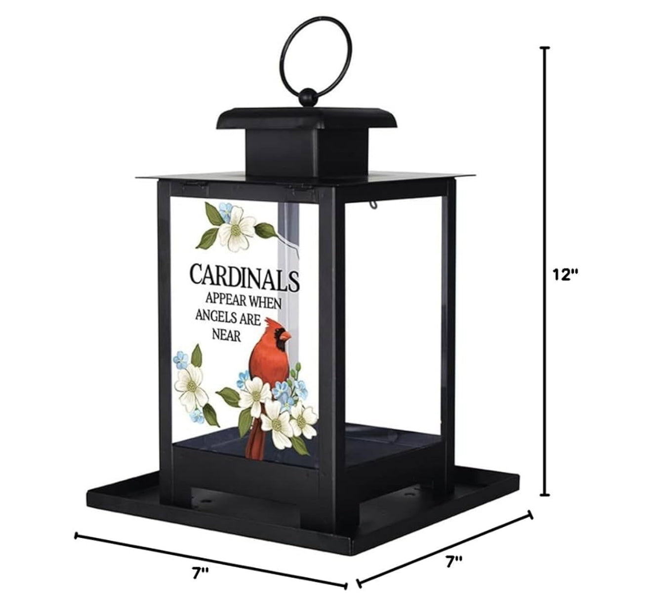 When Cardinals Appear Bird Feeder