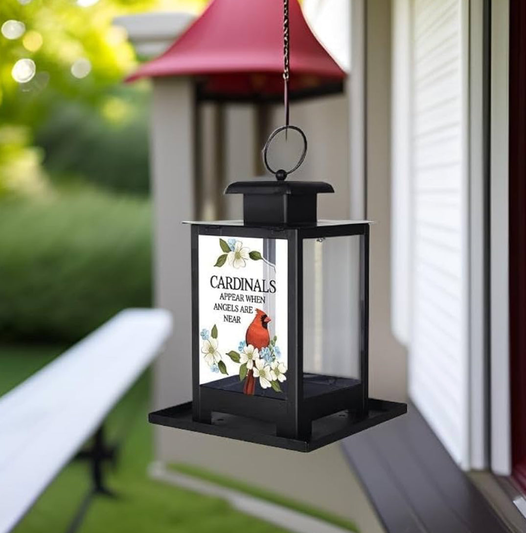 When Cardinals Appear Bird Feeder