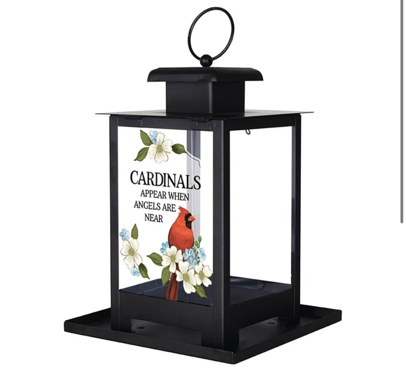 When Cardinals Appear Bird Feeder