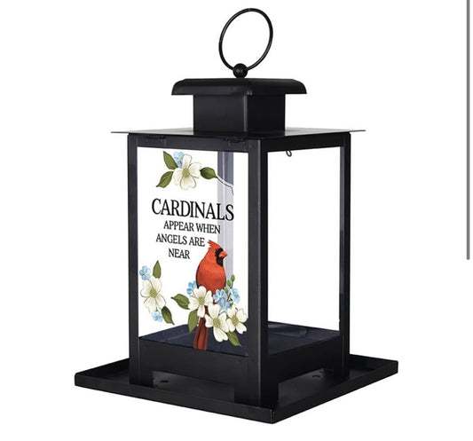 When Cardinals Appear Bird Feeder