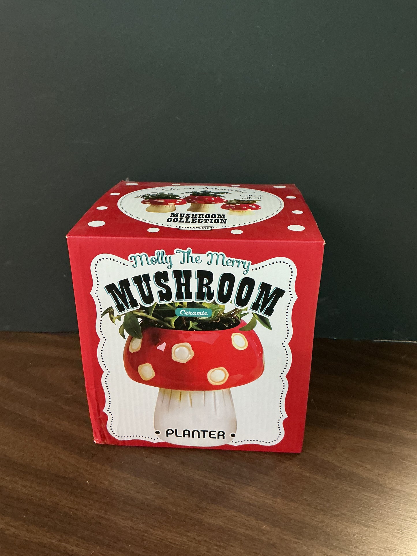 Molly The Merry Mushroom Planter