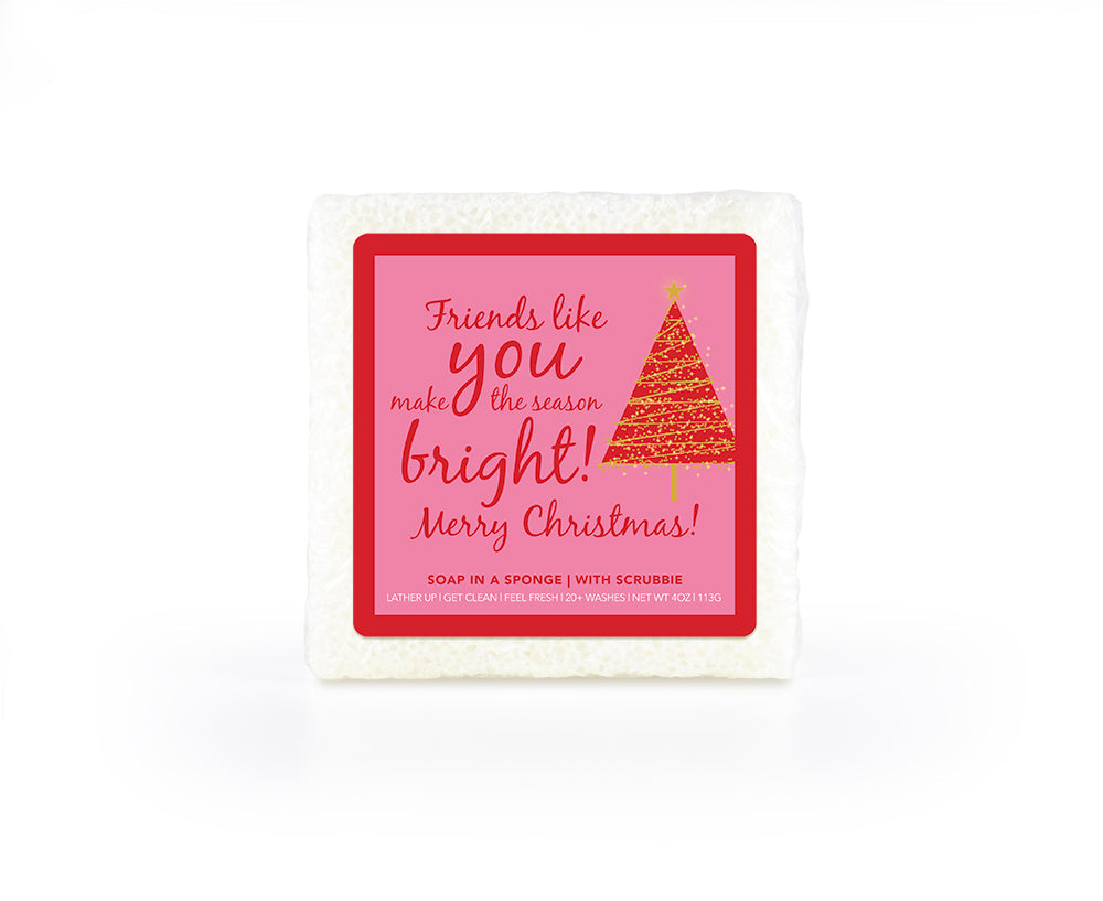 Caren Christmas Sponges