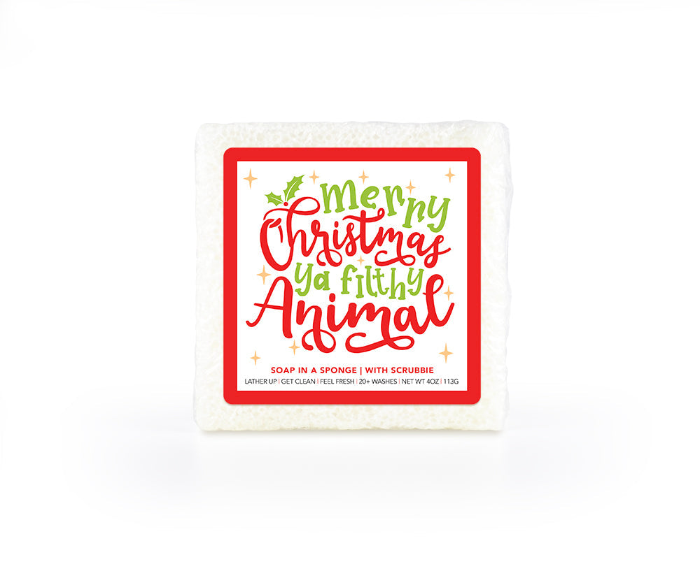 Caren Christmas Sponges