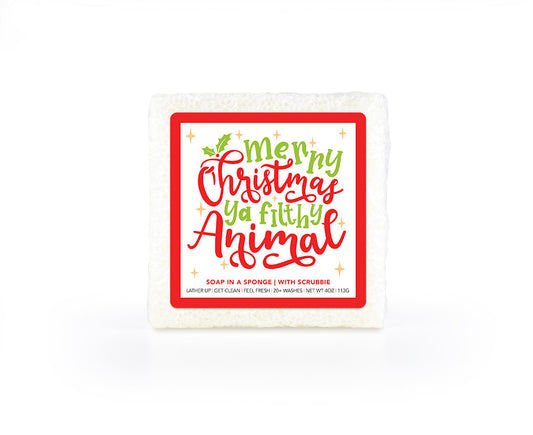 Caren Christmas Sponges