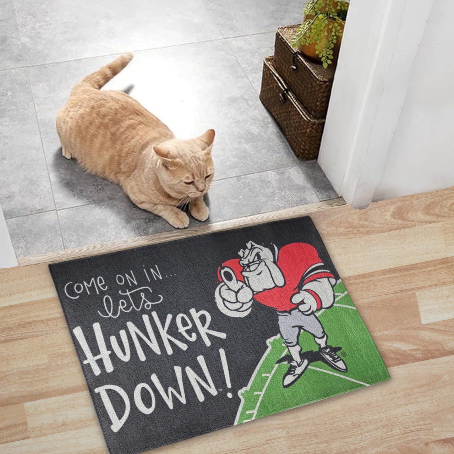 Georgia hunker down door mat