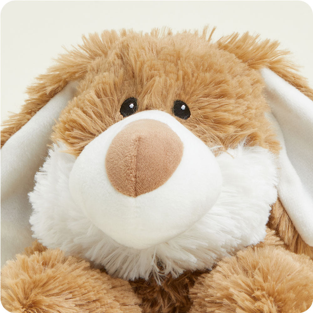Brown and White Bunny Warmies