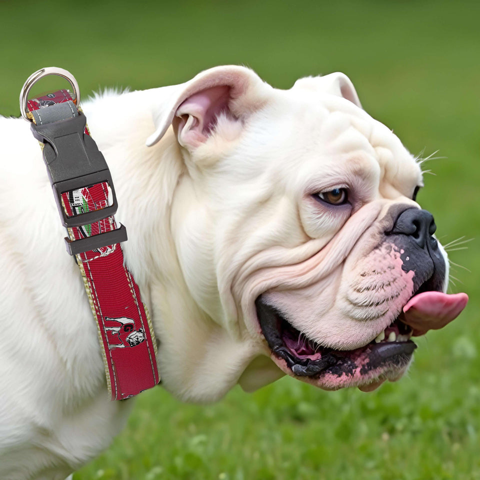 UGA Adjustable Dog Collar