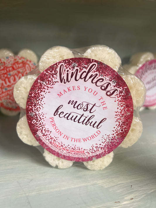 Kindness soap in a sponge