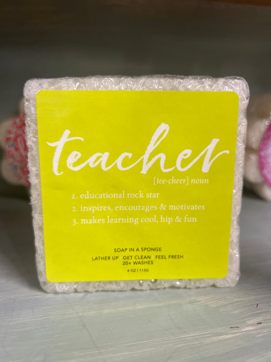 Teacher soap in a sponge