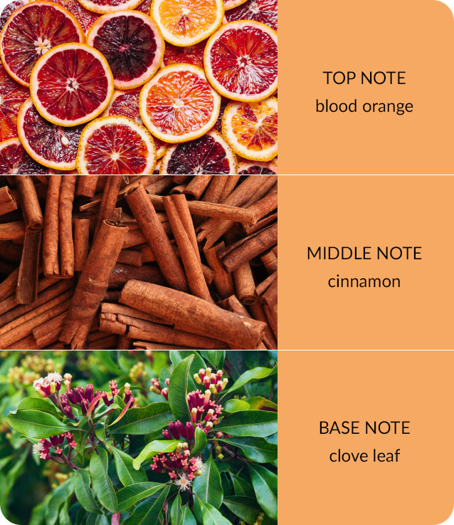 Orange Zest & Clove Oil | Bamboo Candle Large