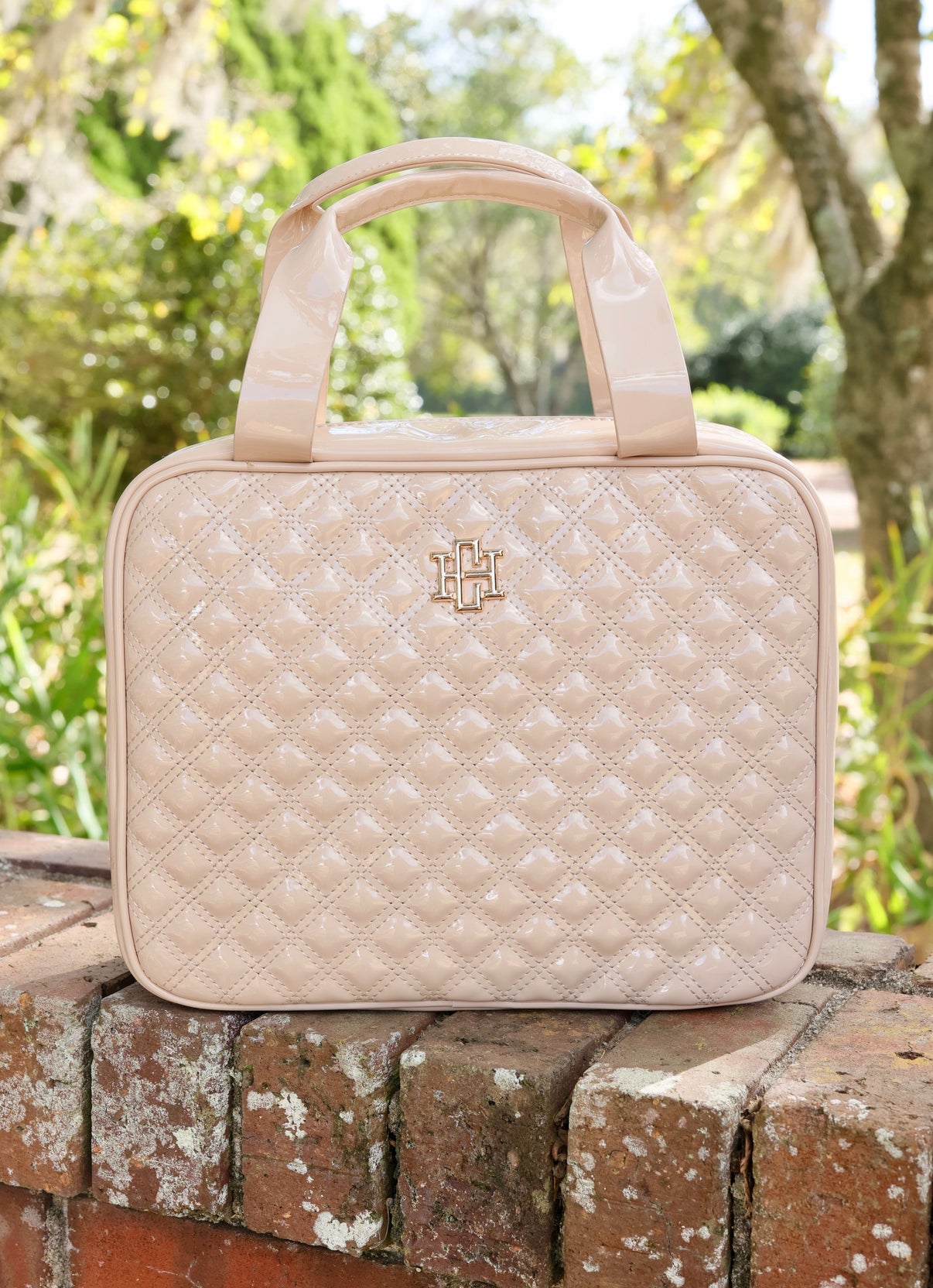 Hampton Train Large Case